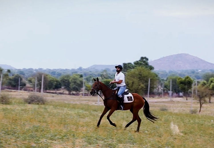 Horse Safari in Jaipur