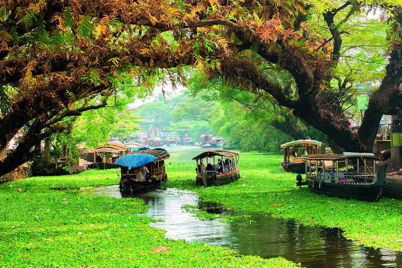 Diverse Wonders of Kerala